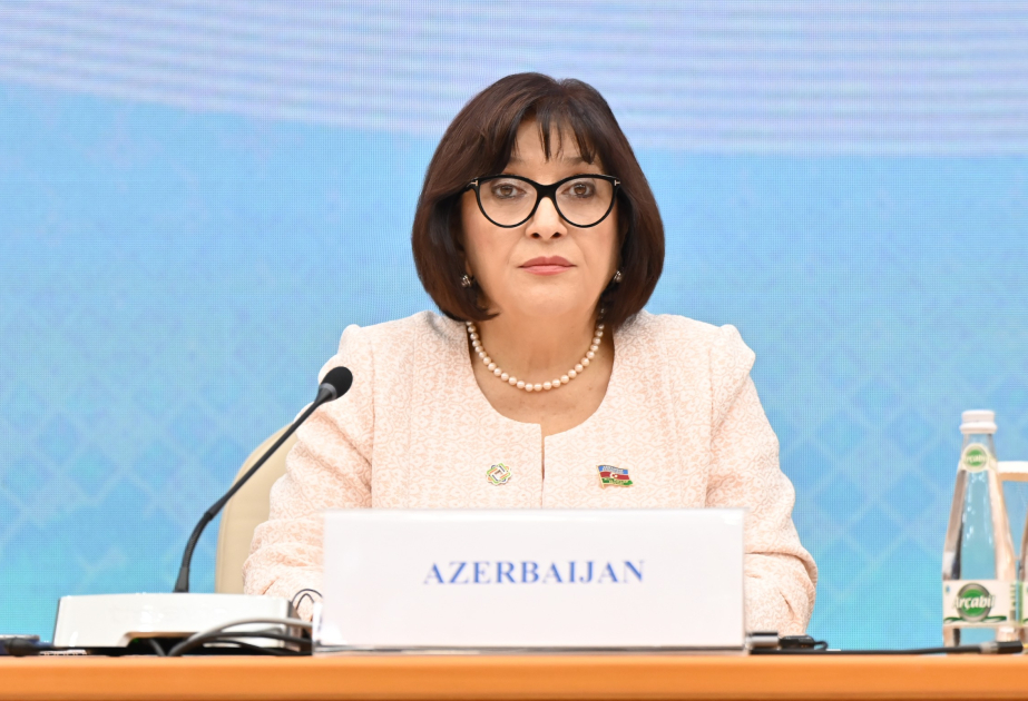 Сахиба Гафарова: Азербайджан благодаря реализованным инициативам сумел конвертировать географические ограничения в возможности