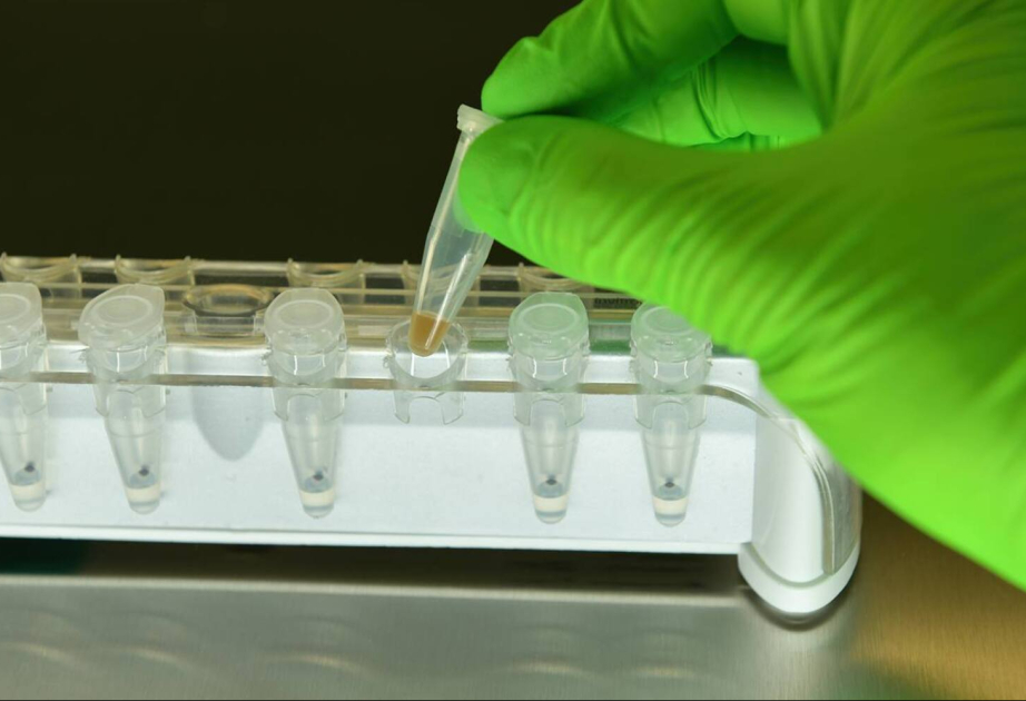 Biontech erwartet Milliarden für neues Krebsmedikament