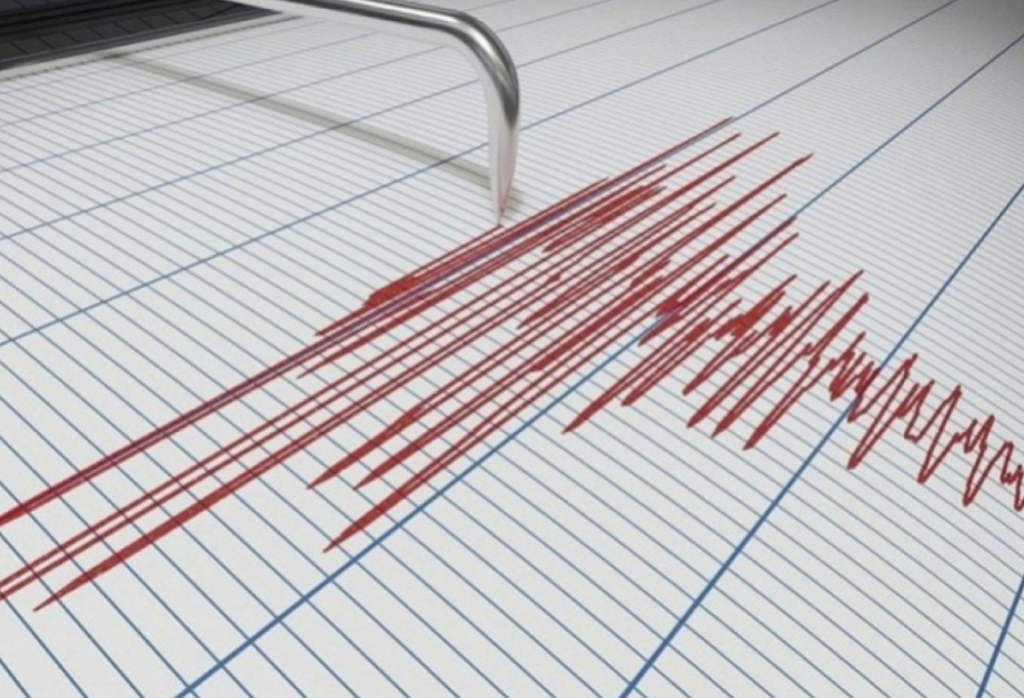 Землетрясение в Кыргызстане ощутили в Казахстане и Узбекистане