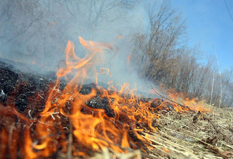 紧急情况部和内务部呼吁民众遵守消防安全措施