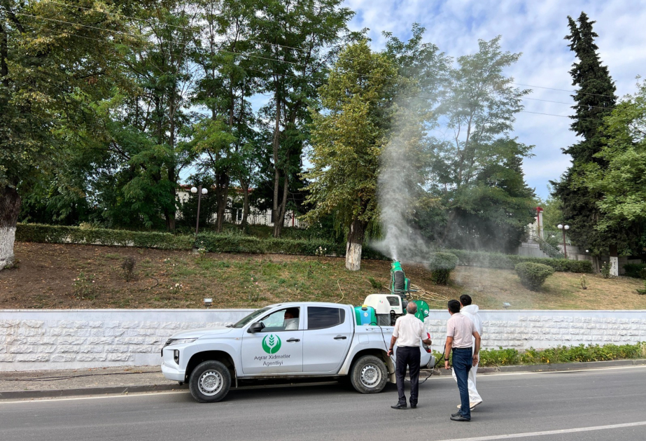在汉肯德实施针对有害生物的植物检疫措施