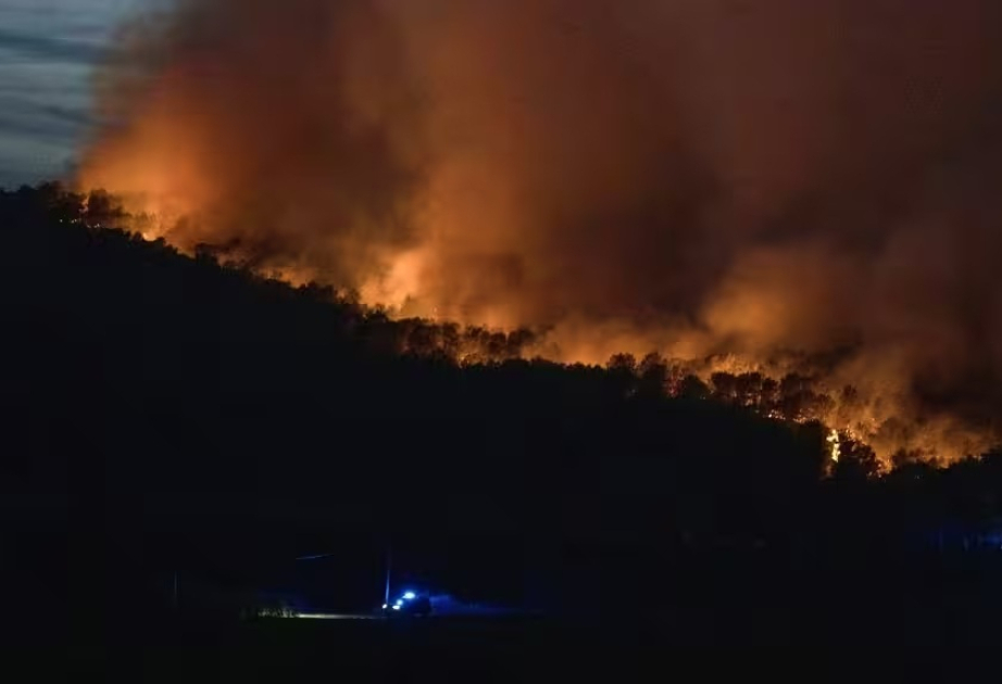 Feuer in Europa: Frau kommt bei Waldbrand in Südfrankreich ums Leben