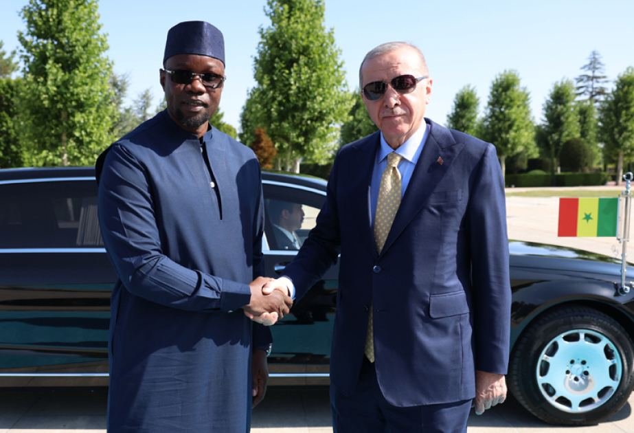 Türkiye, Senegal talk defense co-op as Erdoğan hails Africa ties