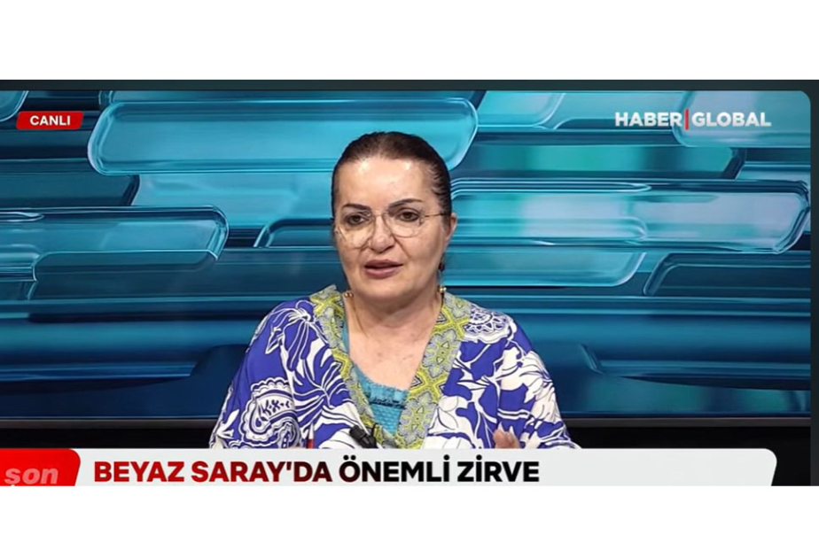 Айгюн Аттар: Встреча в Вашингтоне – очередной успех многовекторной политики Президента Ильхама Алиева