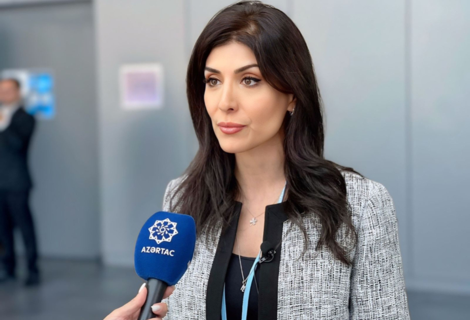 Vaşinqton görüşü Prezident Əliyevin rəhbərlik etdiyi diplomatiyamızın tarixi nailiyyətidir -  ŞƏRH