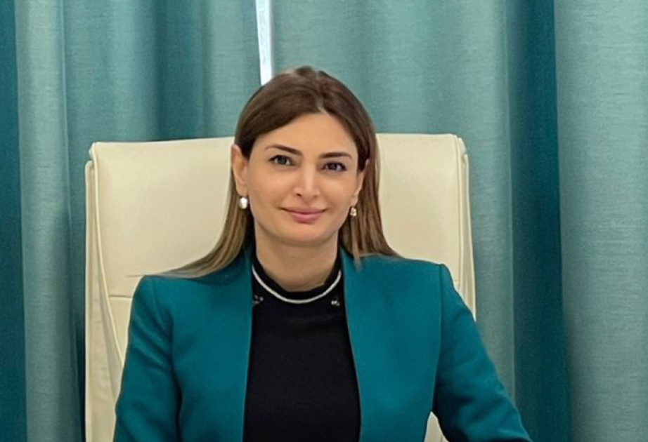 Вашингтонская встреча – международное признание новой региональной реальности, созданной Азербайджаном - Политолог