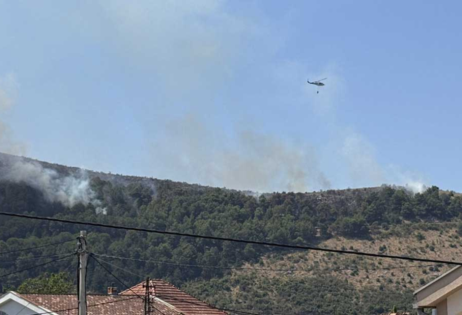 Monteneqroda meşə yanğını başlayıb