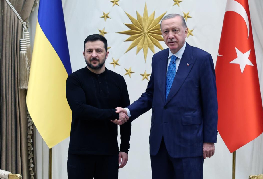 Türkiye, Ukraine presidents discuss bilateral ties, key regional and global issues