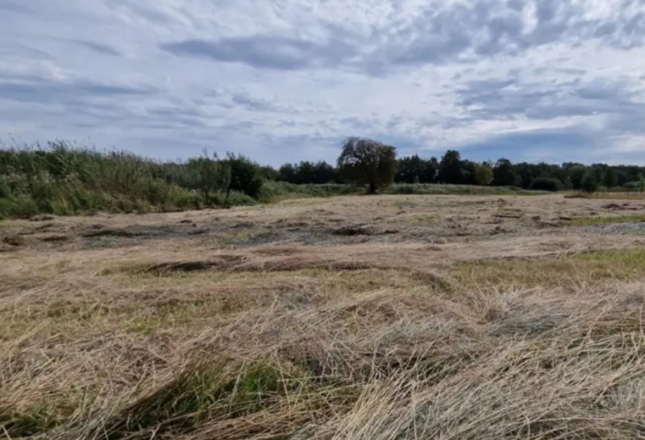 Royaume-Uni : l'Angleterre confrontée à une pénurie d'eau d'importance nationale