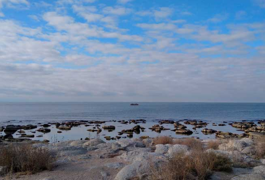 Kazakh government allocates 305 million tenge for Caspian Sea Research Institute development