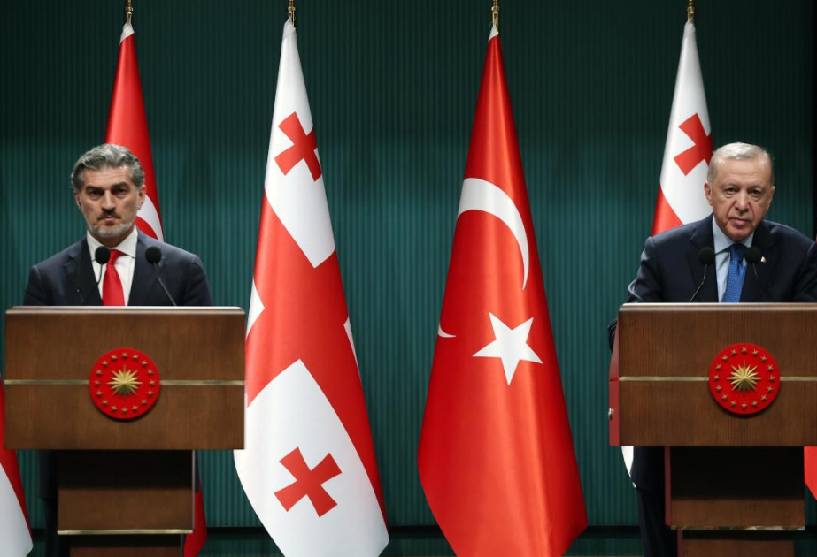 Türkiye, Georgia to work 'shoulder to shoulder' for regional cooperation, peace: President Erdogan