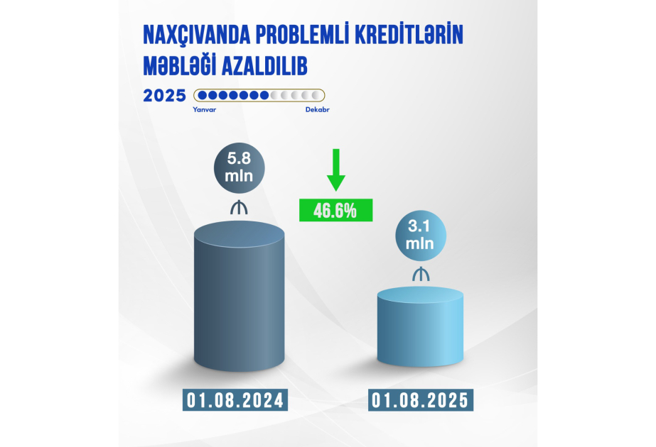 Naxçıvanda problemli kreditlərin məbləği azaldılıb