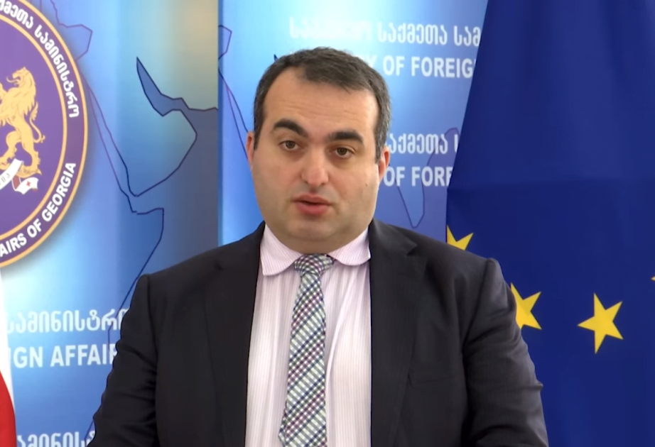 Laşa Darsaliya: Türkiyə Gürcüstan üçün mühüm strateji tərəfdaşdır