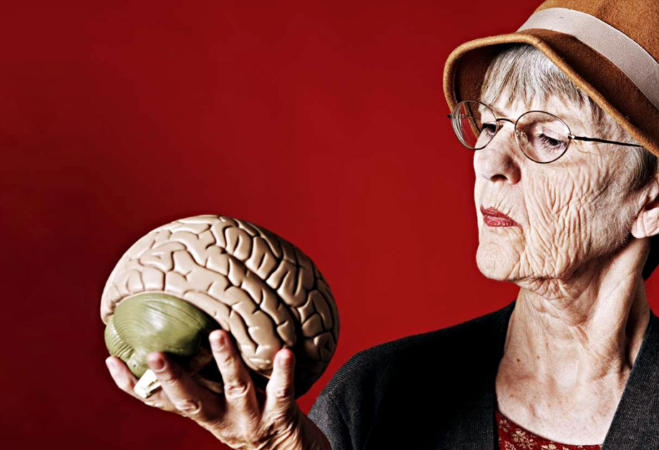 Scientists discover brain layers that get stronger with age