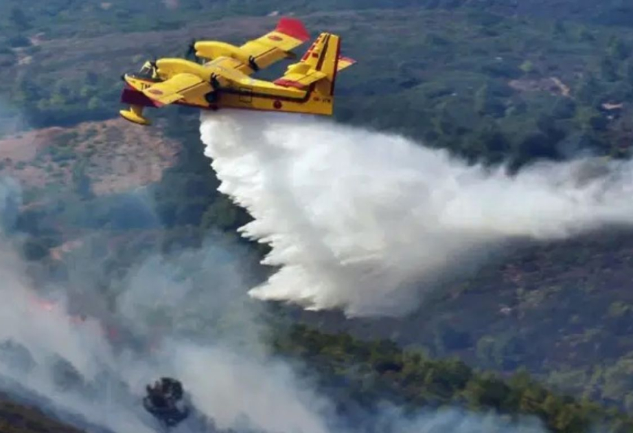Incendie de Chefchaouen au Maroc : trois des quatre foyers majeurs sont maîtrisés et les opérations d'extinction sont en cours