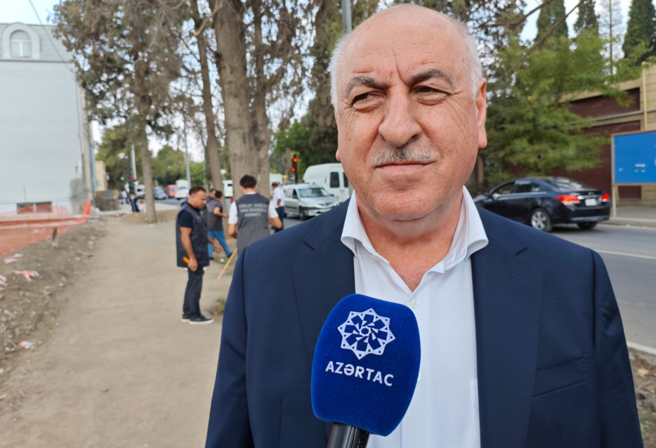 İdarə Heyətinin sədri: Gəncədə qurumuş ağaclar nömrələnir, pilot layihə sui-istifadə hallarının qarşısını alacaq VİDEO