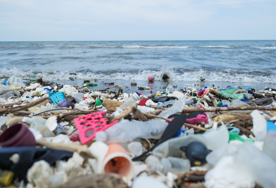 Plastic pollution talks adjourn, but countries want to stay engaged: UNEP chief