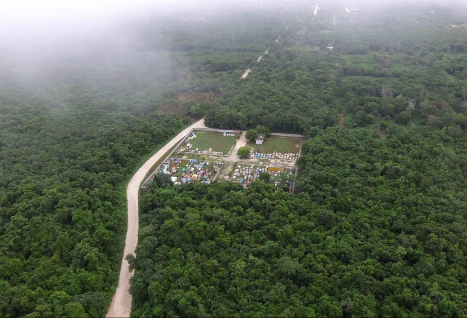 Mittelamerika: Mexiko, Guatemala und Belize wollen grenzübergreifendes Naturschutzgebiet