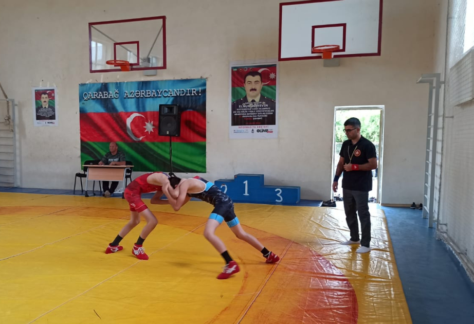 Şəhid mayor Elnur Əliyevin xatirəsinə həsr edilən turnirin qalibləri müəyyənləşib VİDEO