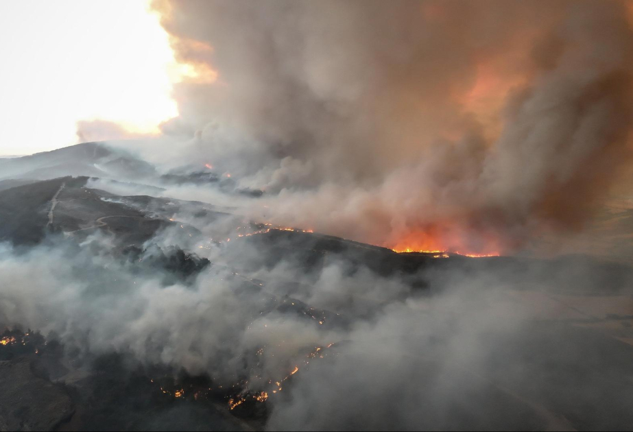 Waldbrände: Weltkriegsdenkmäler in der Türkei bedroht - weiter Feuer in Portugal und Spanien