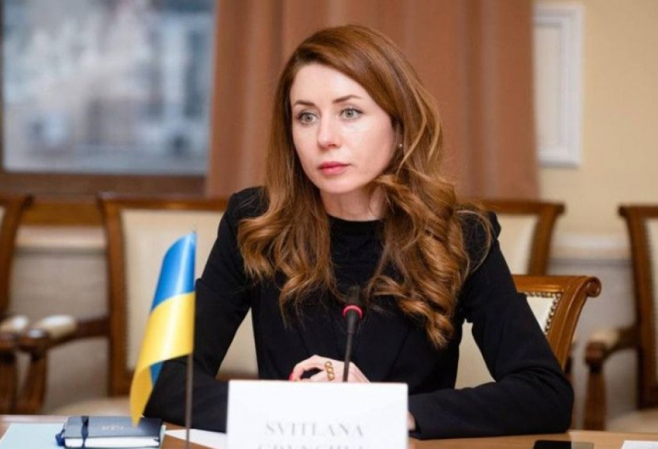 Светлана Гринчук: Украина может продолжить импорт газа из Азербайджана