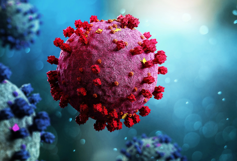Study links COVID-19 infection to accelerated blood vessel aging in women