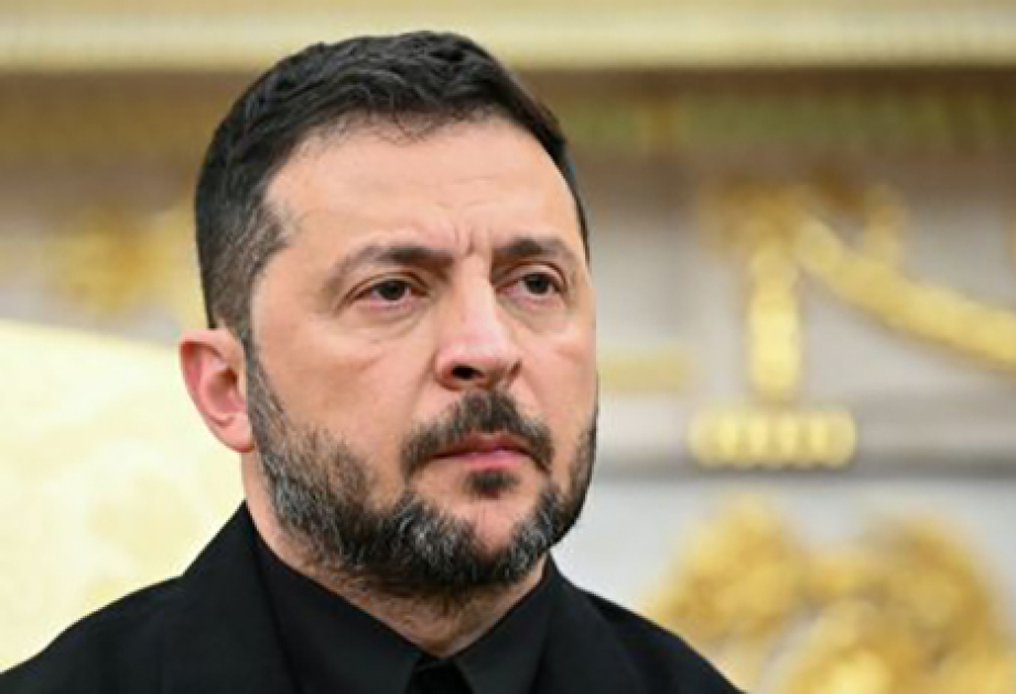 Зеленский раскрыл дальнейшие шаги украинской делегации