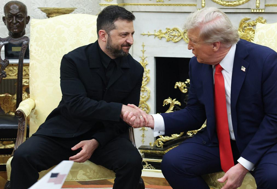 Каковы итоги встречи Трампа и Зеленского? ВИДЕО