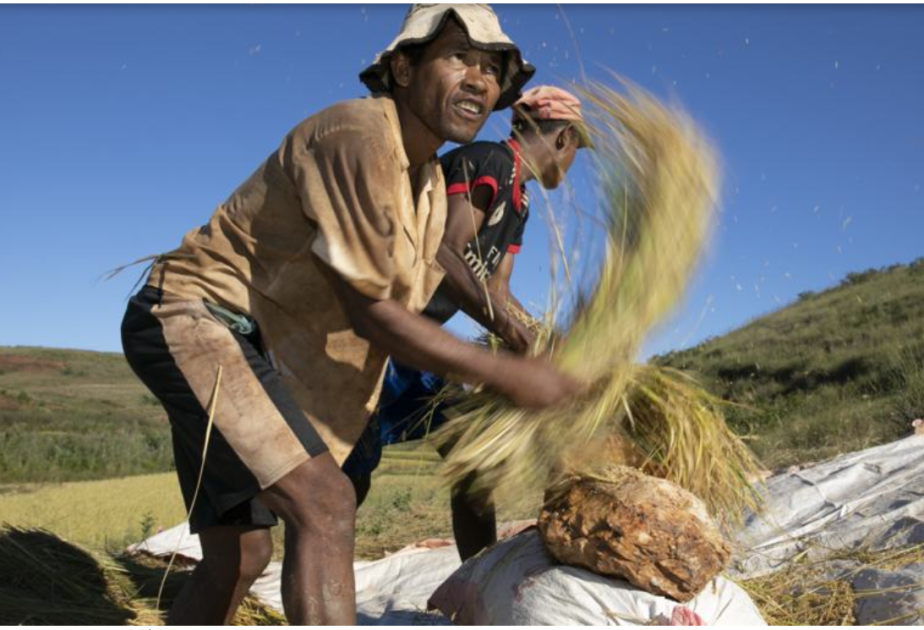 UN agencies warn of rising heat stress risks for workers worldwide