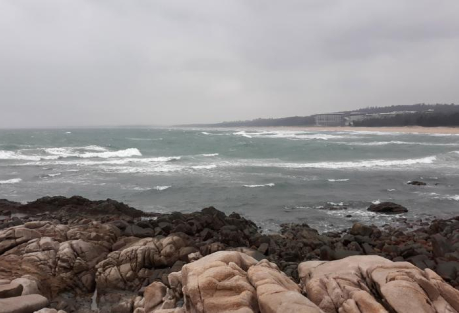 China issues yellow alert for Typhoon Kajiki