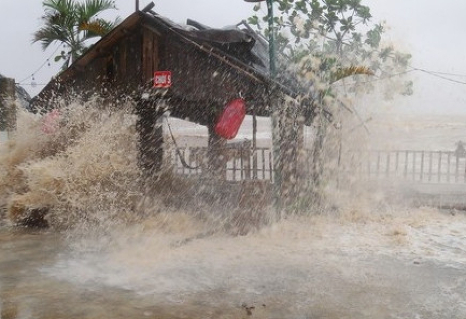 Typhoon Kajiki leaves 3 dead, 10 injured in Vietnam