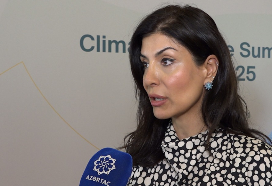 Baku Climate Action Week to highlight various topics concerning the region, says COP29 High-Level Champion