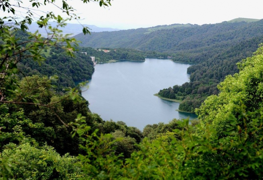 Les lacs : les poumons de notre planète