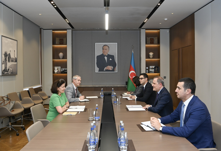 Azerbaijani FM briefs outgoing French ambassador about Washington meeting