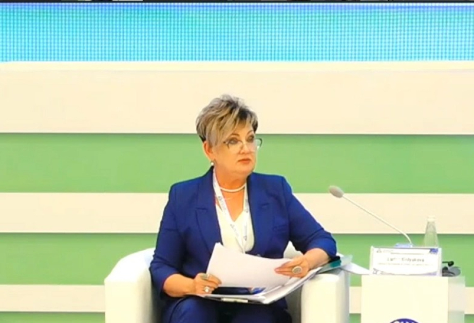 Эксперт: Взаимодействие Азербайджана со странами Центральной Азии в сфере логистики охватывает сразу несколько направлений - ИНТЕРВЬЮ