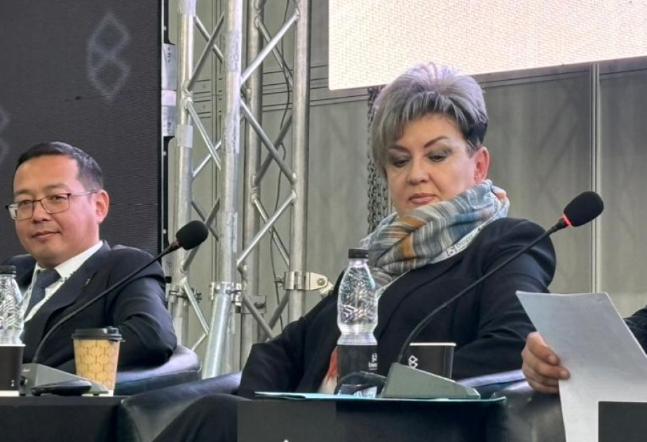 Эксперт: Координация между странами-участницами – ключевой элемент успешной работы Среднего коридора