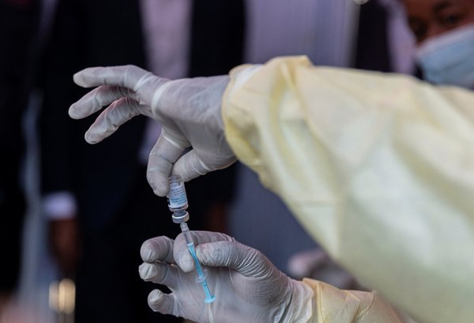 Adding cell-based vaccine to liver cancer therapy can slow cancer progression