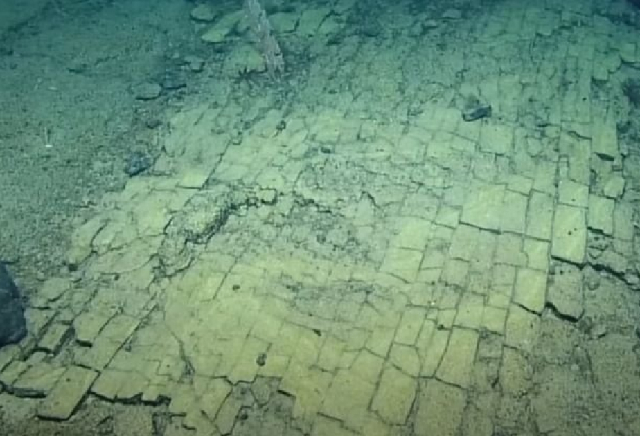 Scientists spotted a 'Yellow Brick Road' at the bottom of the Pacific ocean