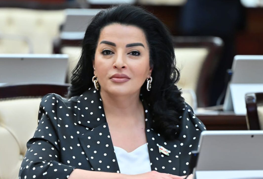 Dövlət başçısının səsləndirdiyi fikirlər bir daha göstərir ki, Azərbaycan artıq Cənubi Qafqaz regionunda aparıcı güc mərkəzinə çevrilib -  ŞƏRH