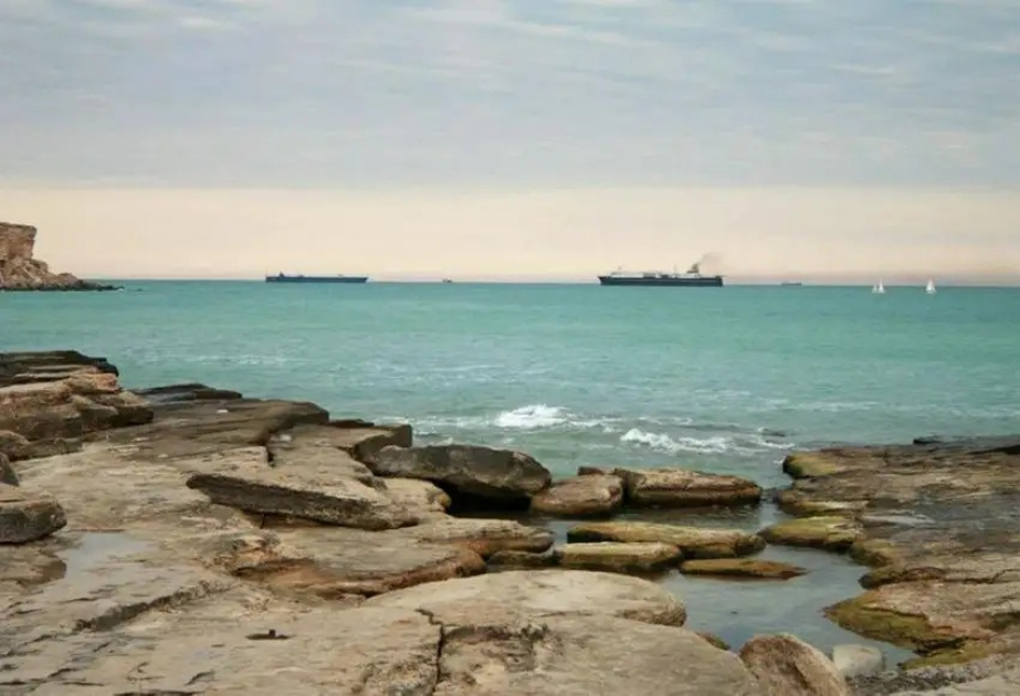 Токаев о Каспии: Положение приближается к экологической катастрофе