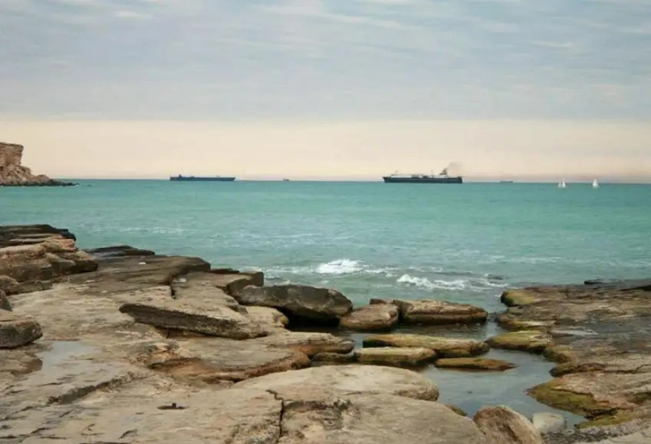 Tokayev warns Caspian Sea situation approaching ecological catastrophe