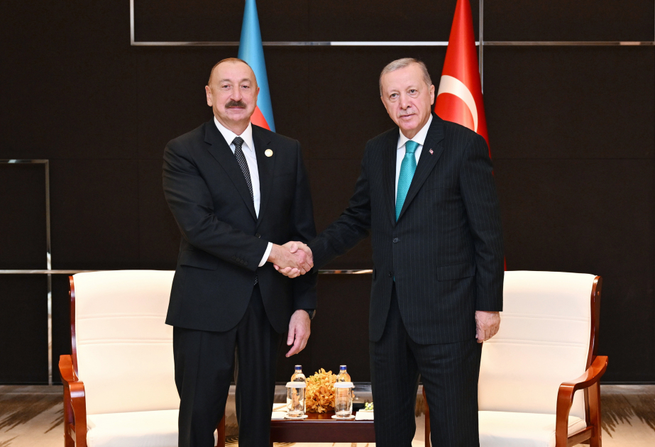 阿塞拜疆总统伊利哈姆·阿利耶夫在天津会见土耳其总统雷杰普·塔伊普·埃尔多安