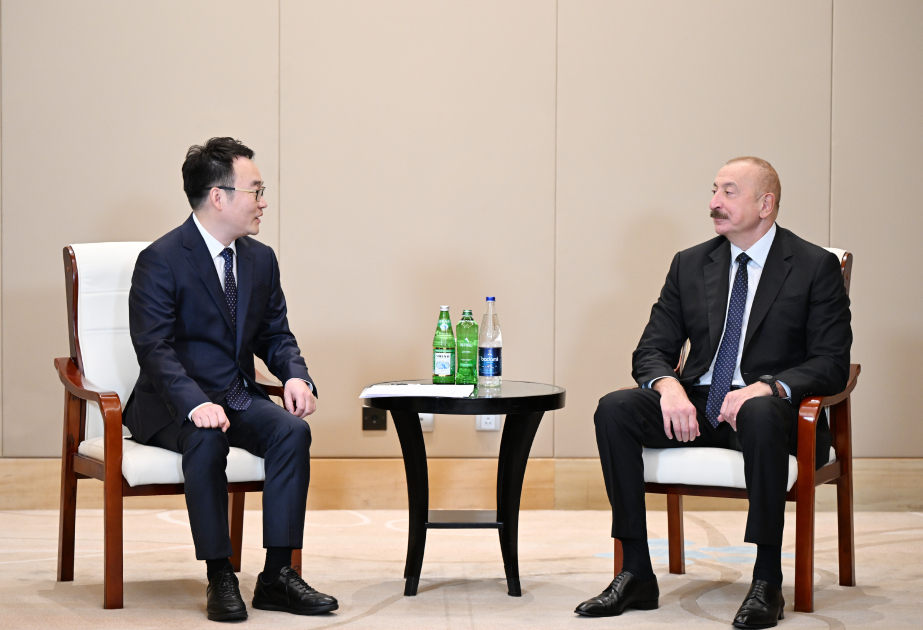 Treffen des aserbaidschanischen Präsidenten mit dem Vizepräsidenten des Konzerns PowerChina in Tianjin VIDEO