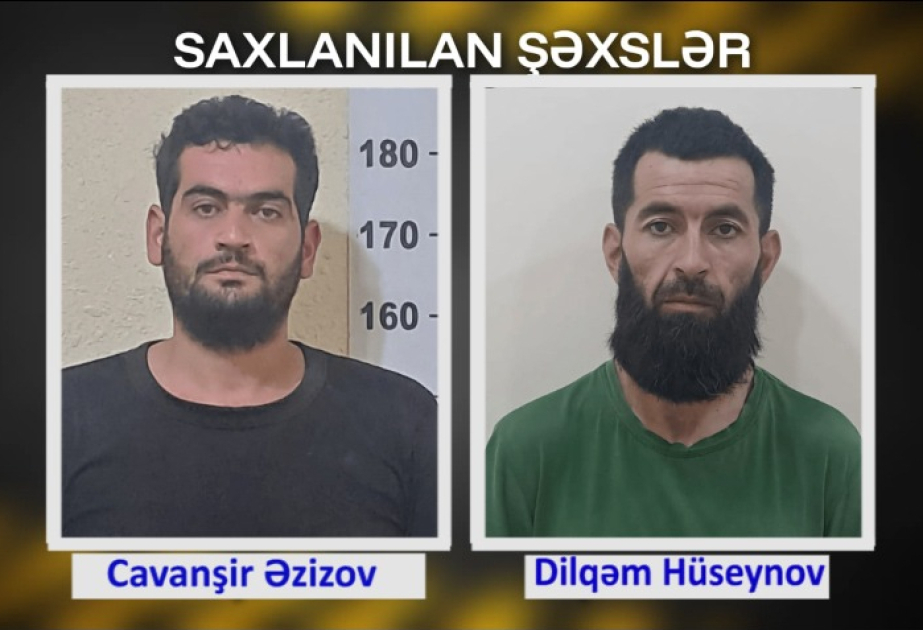 Ağcabədidə oğurluq edən 2 nəfər saxlanılıb