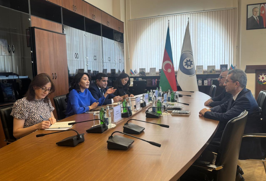 Azerbaijan, Türkiye explore integration of artificial intelligence into legal sphere