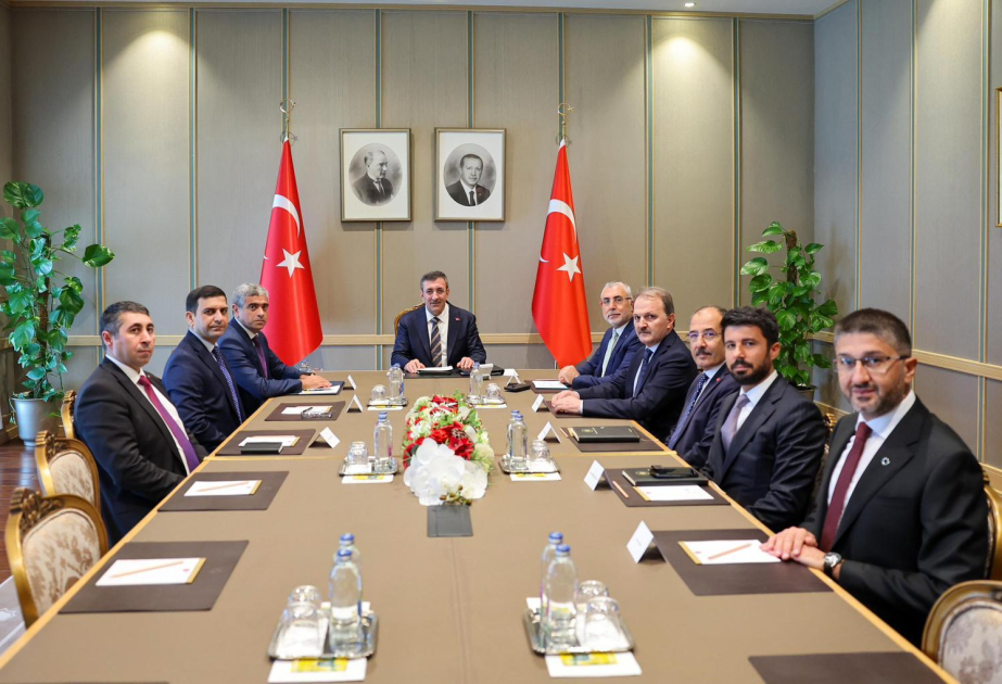 Azərbaycan ilə Türkiyə arasında əmək və sosial müdafiə sahəsində əlaqələr genişlənir VİDEO
