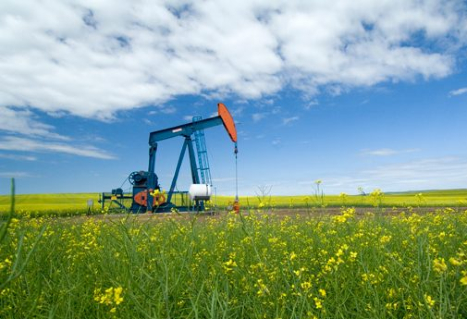 На мировых биржах снизились цены на нефть