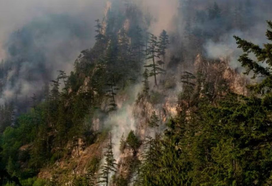 Waldbrand in Kanada: Mehr als tausend Menschen verlassen ihre Häuser