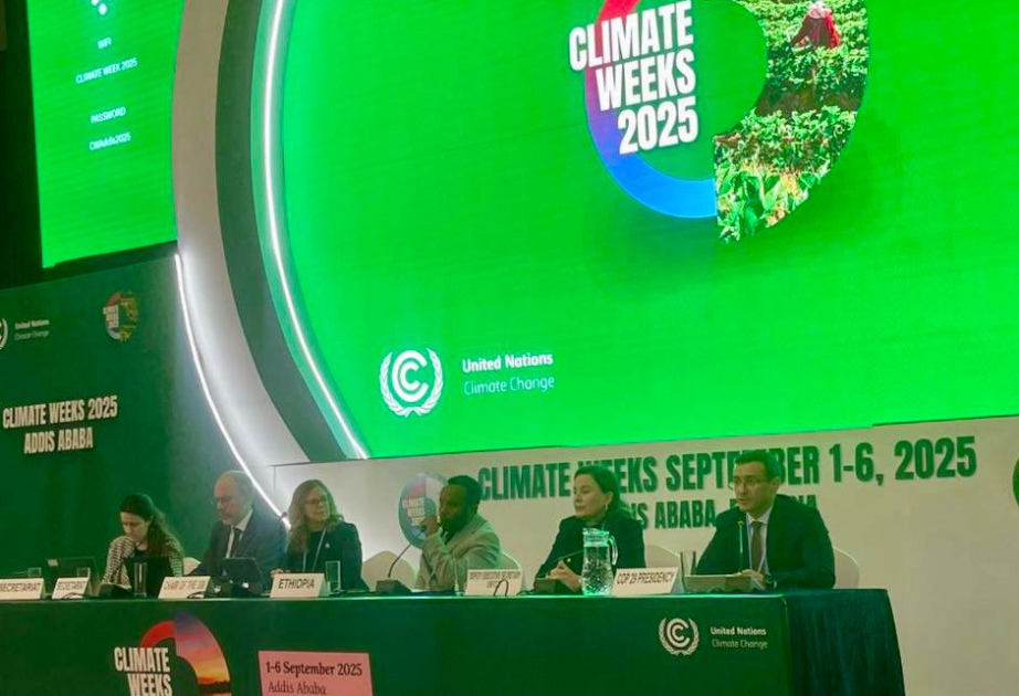 رئاسة مؤتمر الكوب29 تؤكد على أهمية التمويل في عملية الانتقال العادل