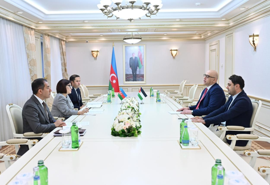 La coopération conjointe entre les parlements azerbaïdjanais et palestinien au menu des discussions